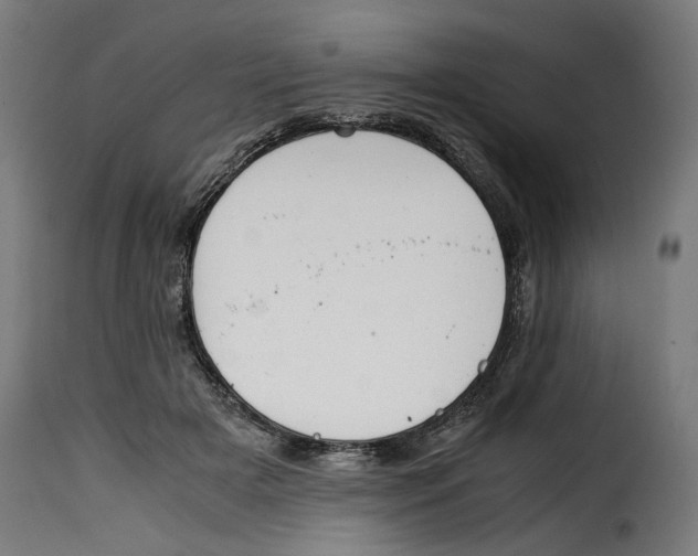 X0000115000505200911231207