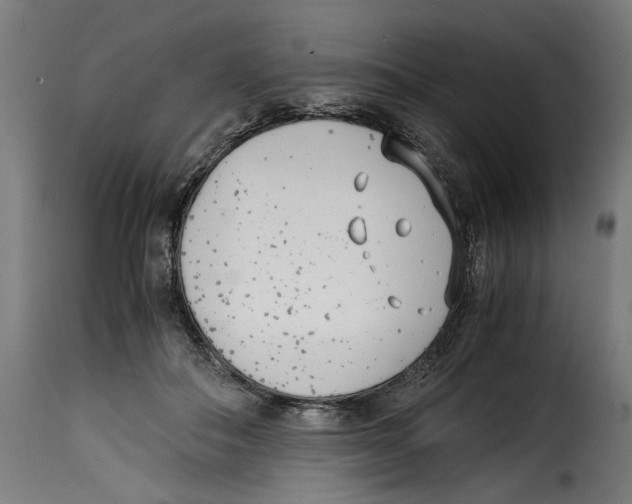 X0000115000506200911231207