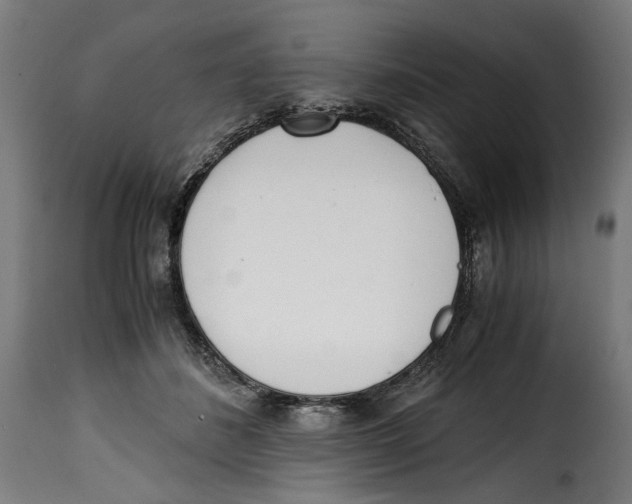 X0000115000508200911231207