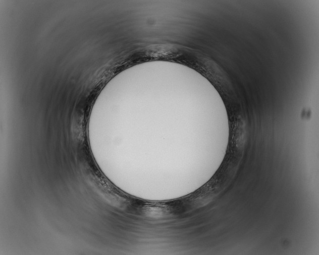 X0000115000510200911231207