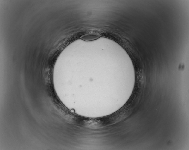 X0000115000511200911231207