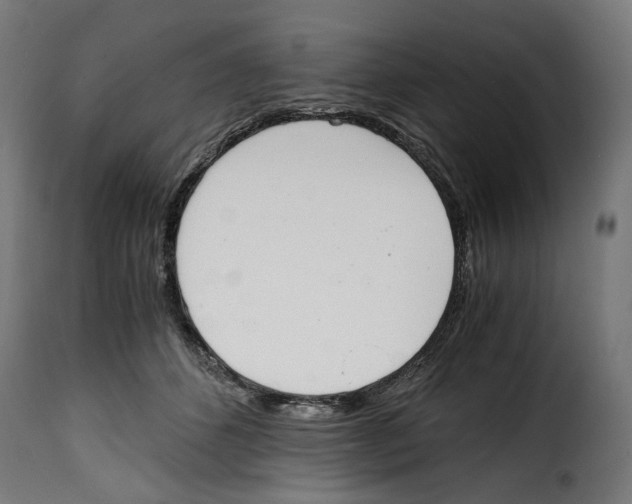 X0000115000512200911231207