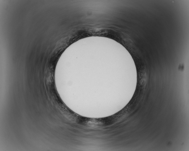 X0000115000515200911231207