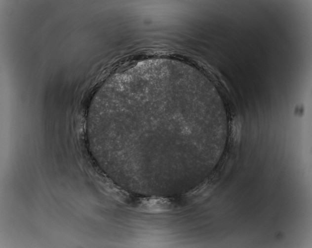 X0000115000517200911231207