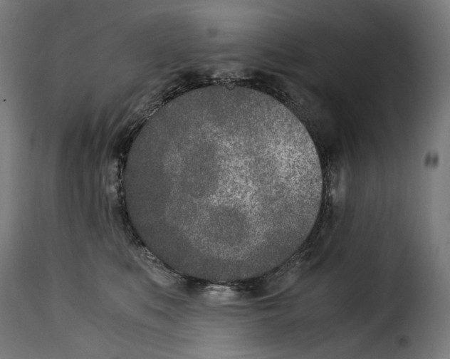 X0000115000519200911231207