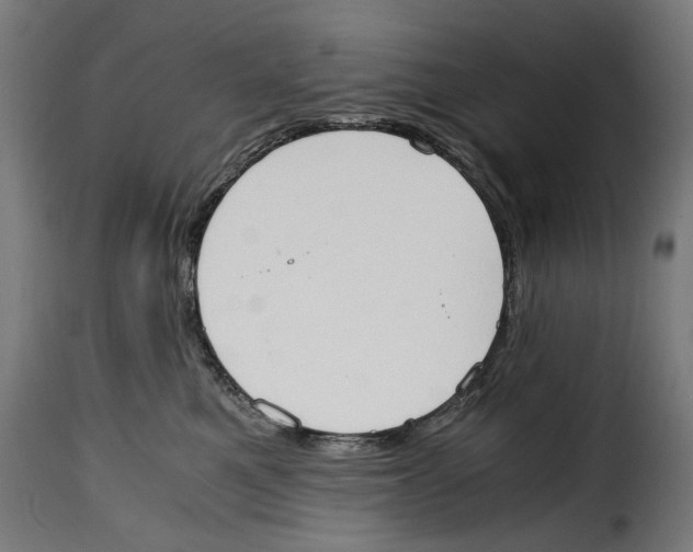 X0000115000521200911231207