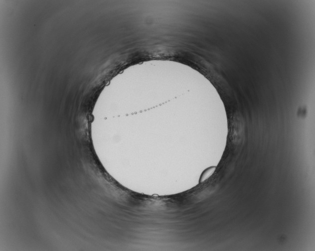 X0000115000523200911231207