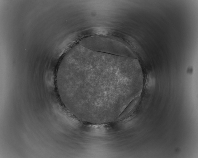 X0000115000524200911231207