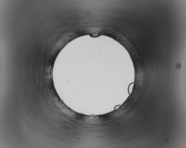 X0000115000525200911231207