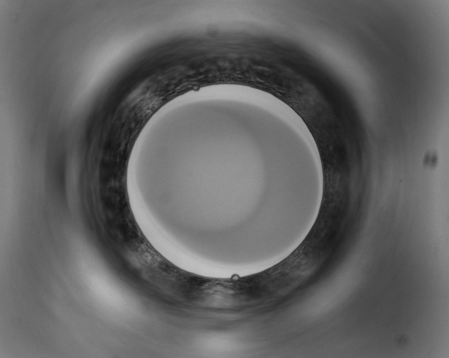 X0000115000526200911231207