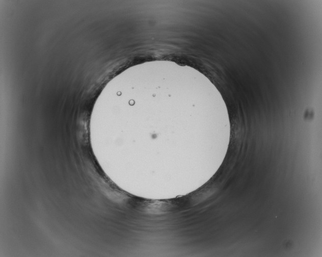 X0000115000527200911231207