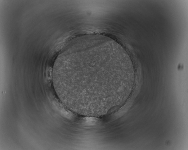 X0000115000528200911231207