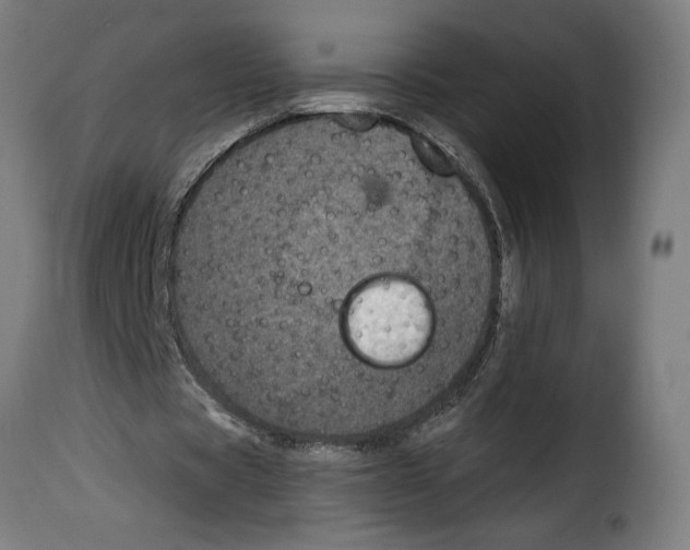 X0000115000529200911231206