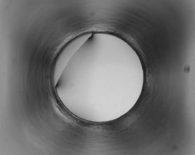 X0000115000530200911231206