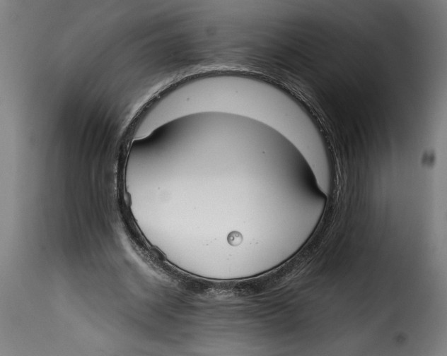 X0000115000534200911231206