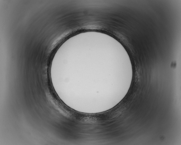 X0000115000535200911231206