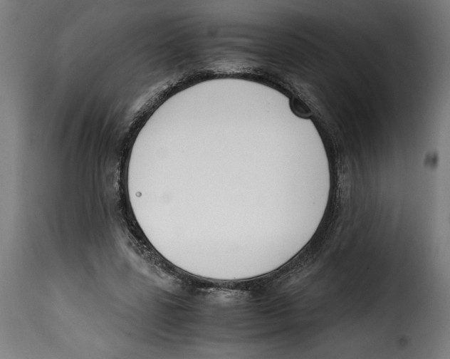 X0000115000539200911231206