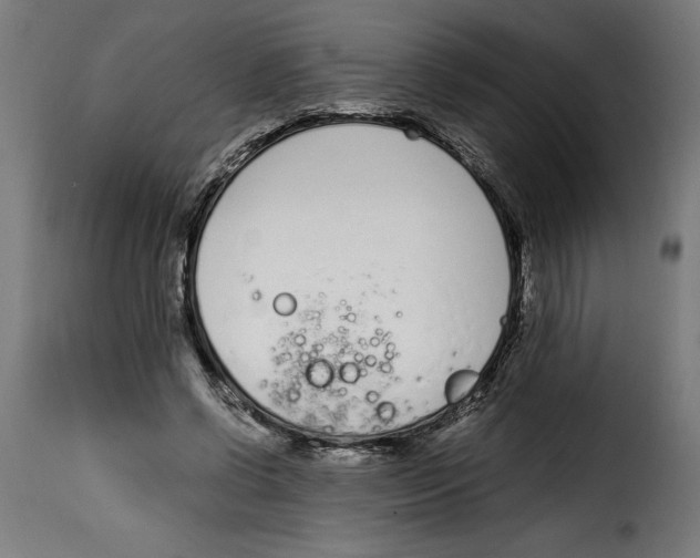 X0000115000542200911231206