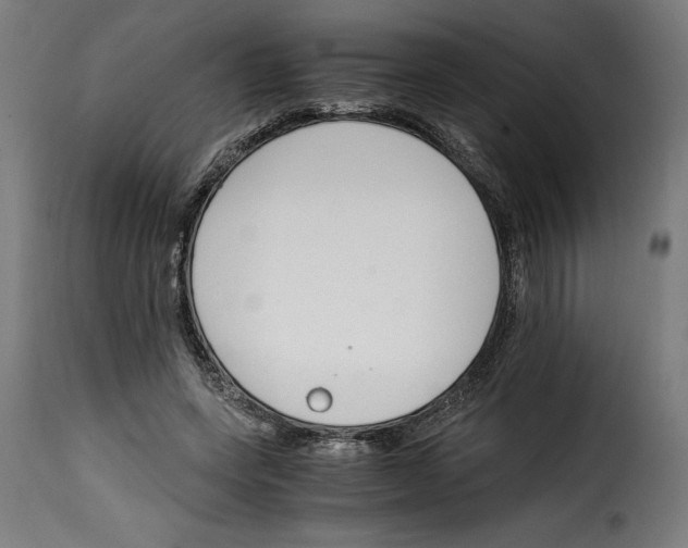 X0000115000543200911231207