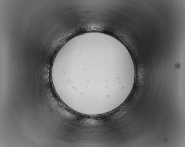 X0000115000545200911231207