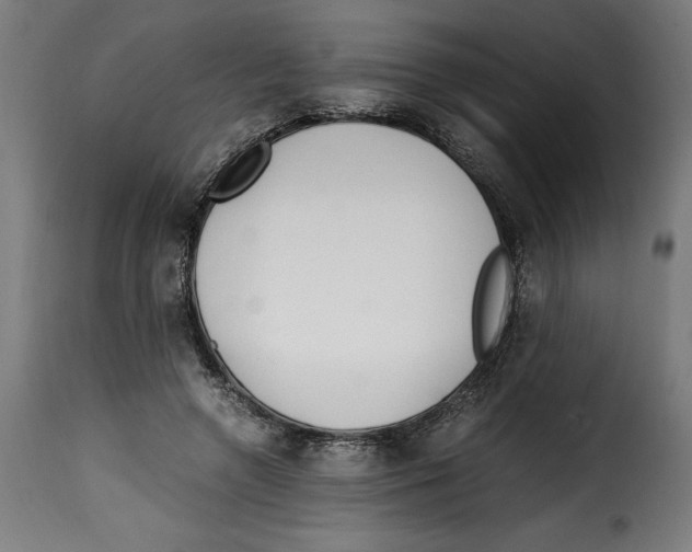 X0000115000546200911231207