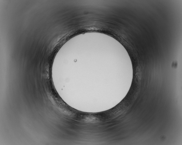 X0000115000547200911231207