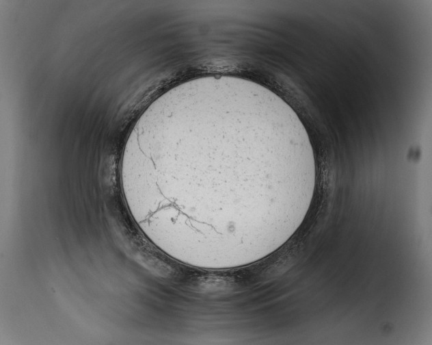 X0000115000549200911231207