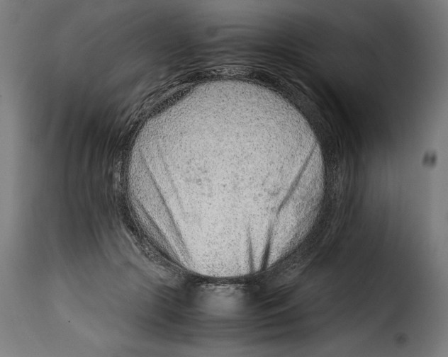 X0000115000553200911231207