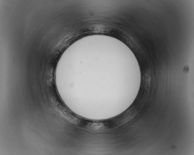 X0000115000554200911231207