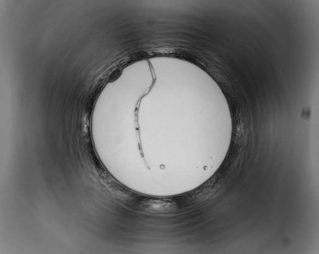 X0000115000555200911231207