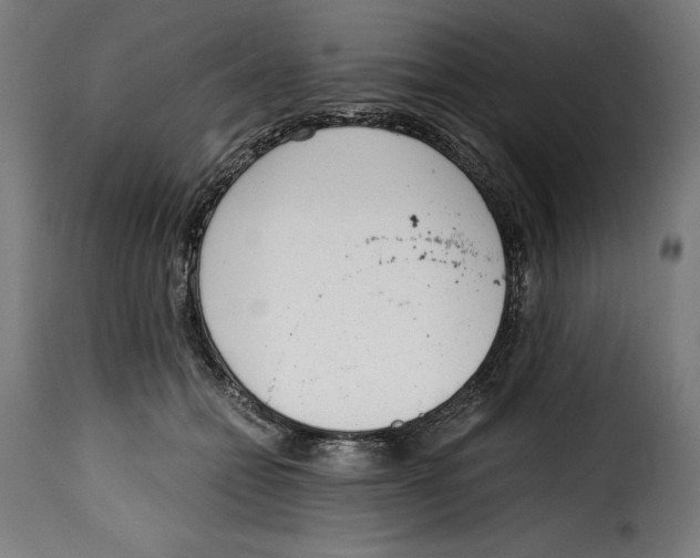 X0000115000558200911231207