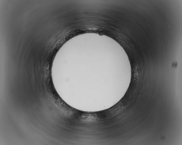 X0000115000559200911231207