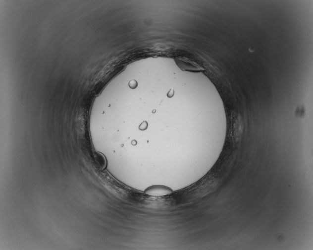 X0000115000562200911231207