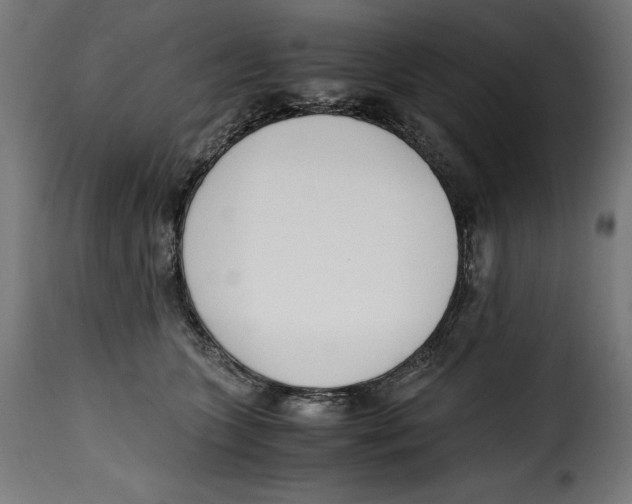 X0000115000563200911231207