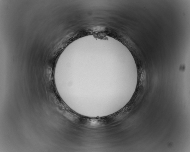 X0000115000565200911231207