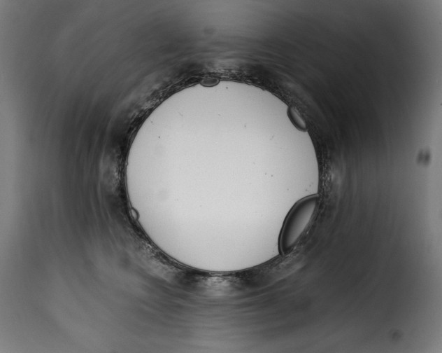 X0000115000566200911231207