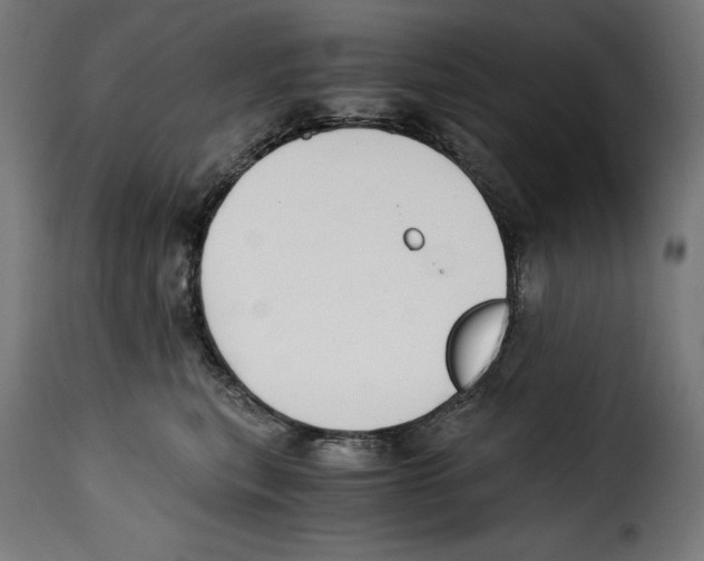 X0000115000567200911231207