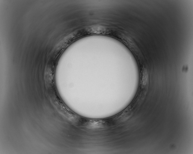 X0000115000569200911231207