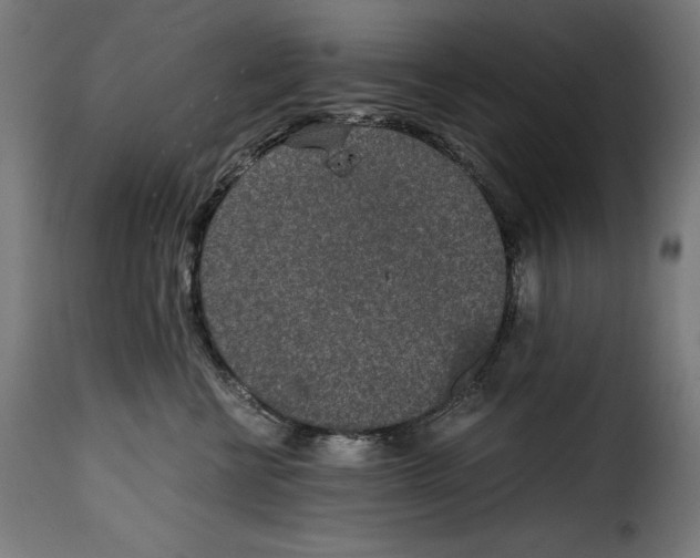 X0000115000570200911231207