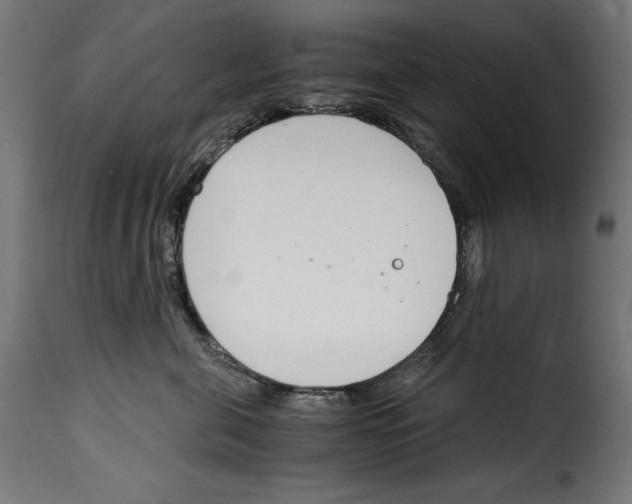 X0000115000571200911231207