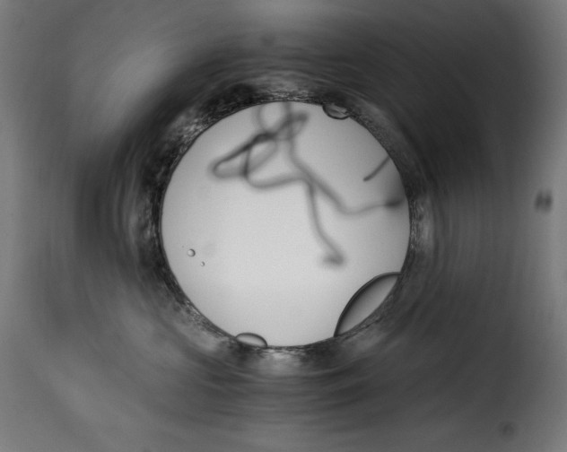 X0000115000573200911231207