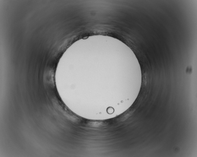 X0000115000575200911231207