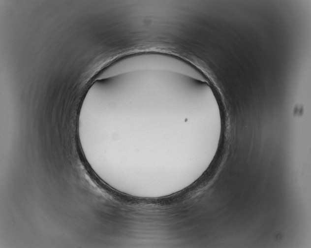 X0000115000577200911231206