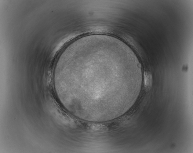 X0000115000579200911231206