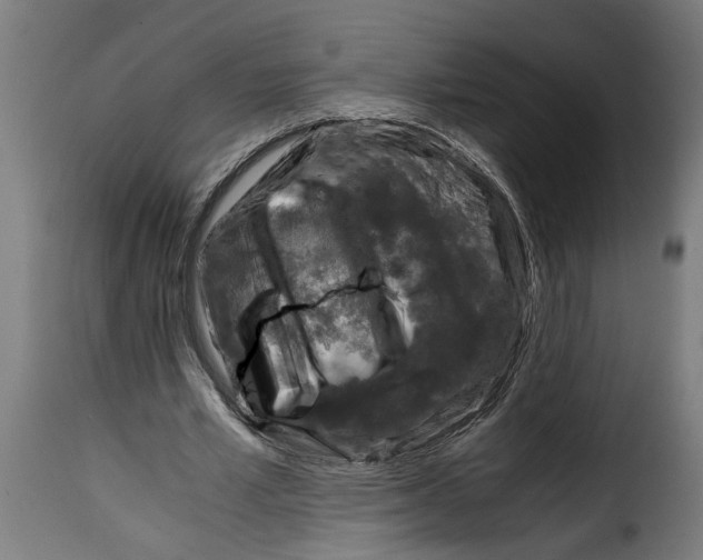 X0000115000581200911231206