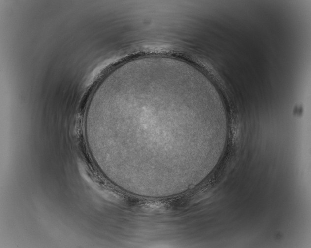 X0000115000583200911231206