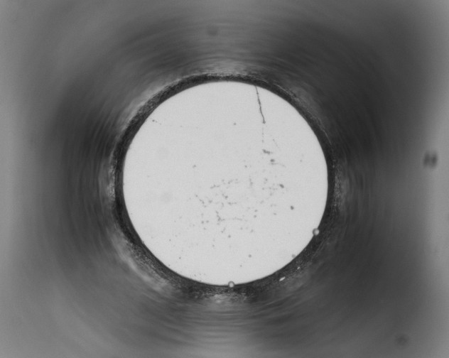 X0000115000584200911231206