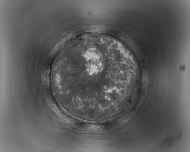 X0000115000585200911231206