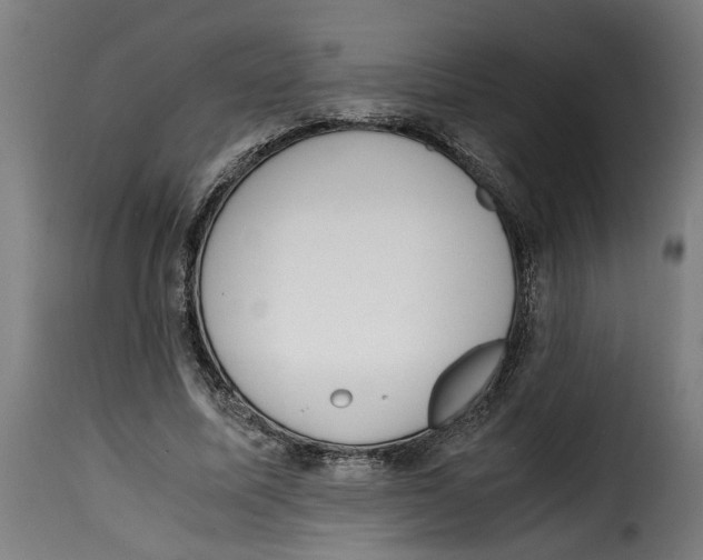 X0000115000587200911231206