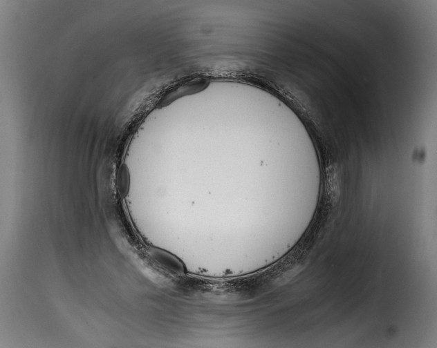 X0000115000589200911231206